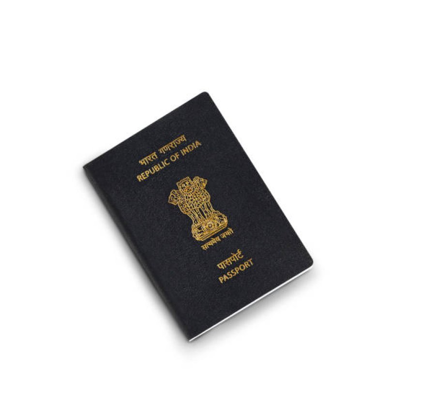 Your Path to an Indian Visa as a Mexican or Mozambican Citizen