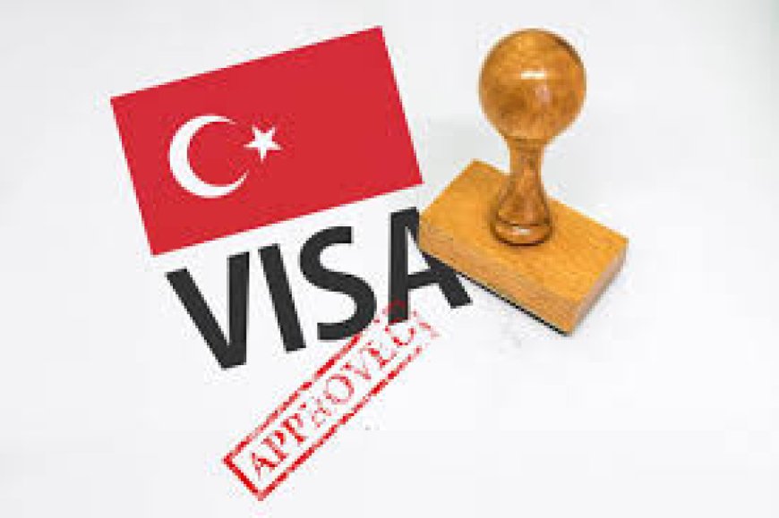 Discover How to Obtain Your Emergency Visa for Turkey