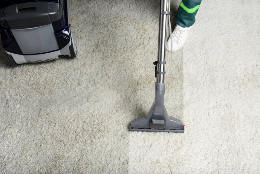 Refresh Your Space with Top-Notch Carpet Cleaning service and Furniture Reupholstery Services