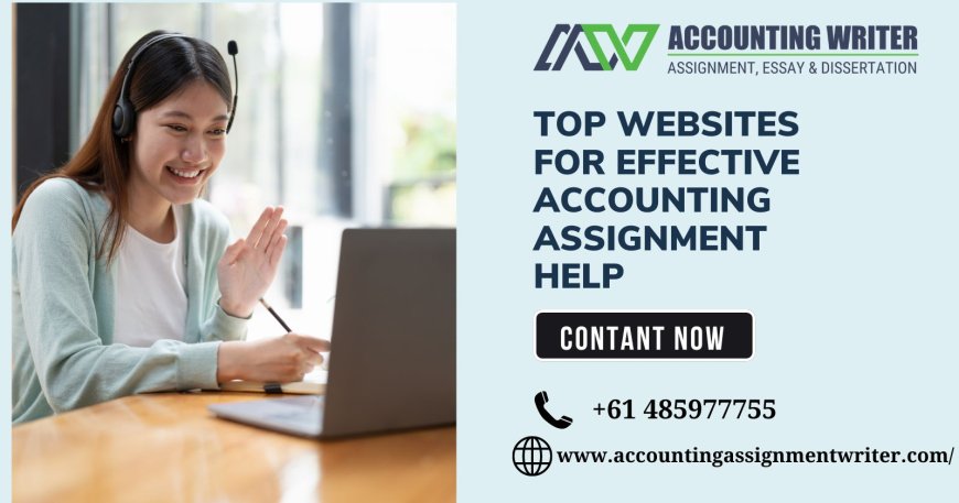 Top Websites for Effective Accounting Assignment Help