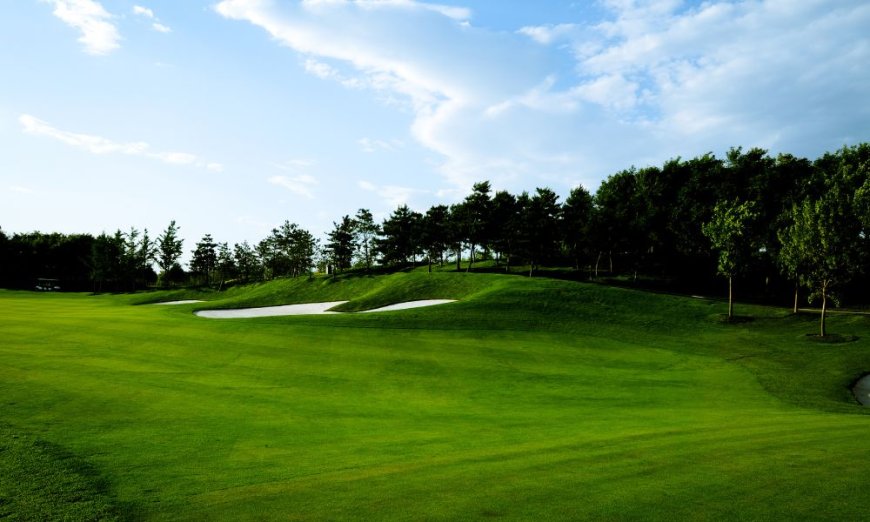 The Art of Golf Course Design: Key Elements of Effective Layouts