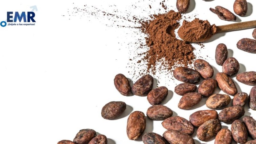 El Mercado de Cacao en México: Crecimiento Estable y Perspectivas Futuras