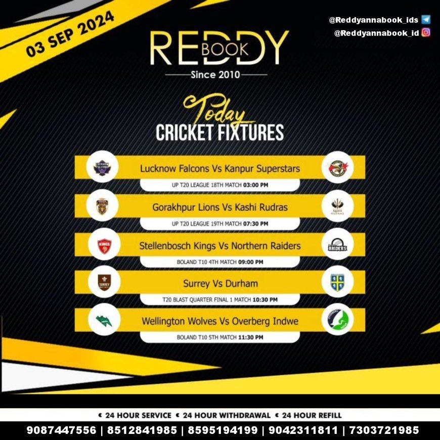 Reddy Anna and the Future of Cricket: Engaging Fans Like Never Before