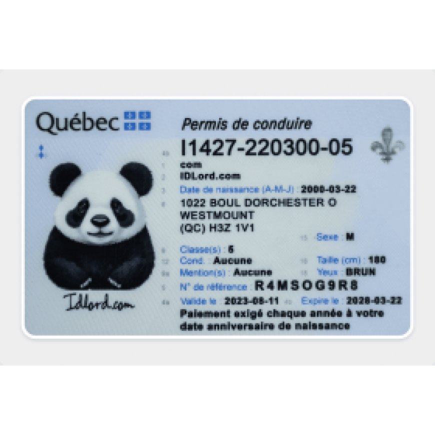 Secure the Best Quebec Fake ID: Discover Premium Scannable Cards at IDLORD