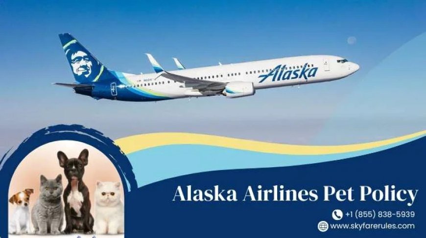 A Guide On Alaska Airlines Pet Policy!