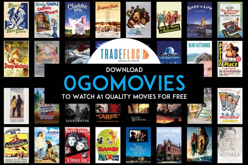 Exploring 0goMovies: A Deep Dive into Online Streaming