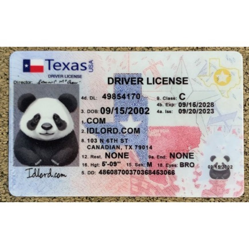 Our Texas scannable cards are designed with the highest standards of authenticity, ensuring that you get the best value and reliability.