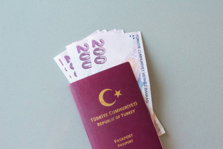 Unlocking the Secrets: What You Need for Your Turkey Visa Online