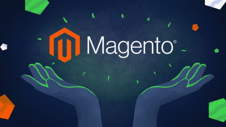 Boost Your E-commerce Success with a Magento SEO Expert