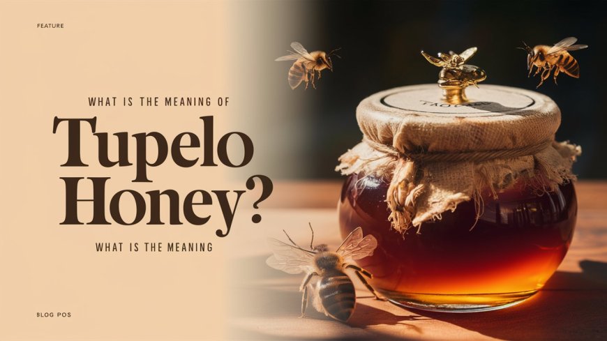 What Is The Meaning Of Tupelo Honey?