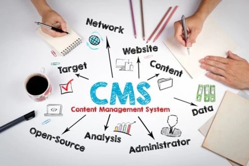 Revolutionize Your School's Online Presence with a Cutting-Edge CMS Website Development