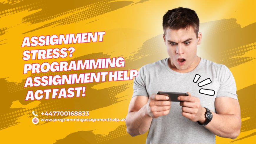 Assignment Stress? Programming Assignment Help Act Fast!