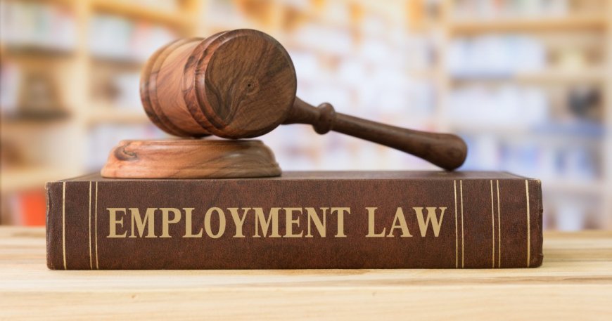 Workplace Challenges: The Importance of an Employment Lawyer