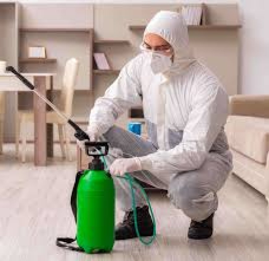 Effective Cockroach Pest Control in Dubai: Keep Your Home Pest-Free