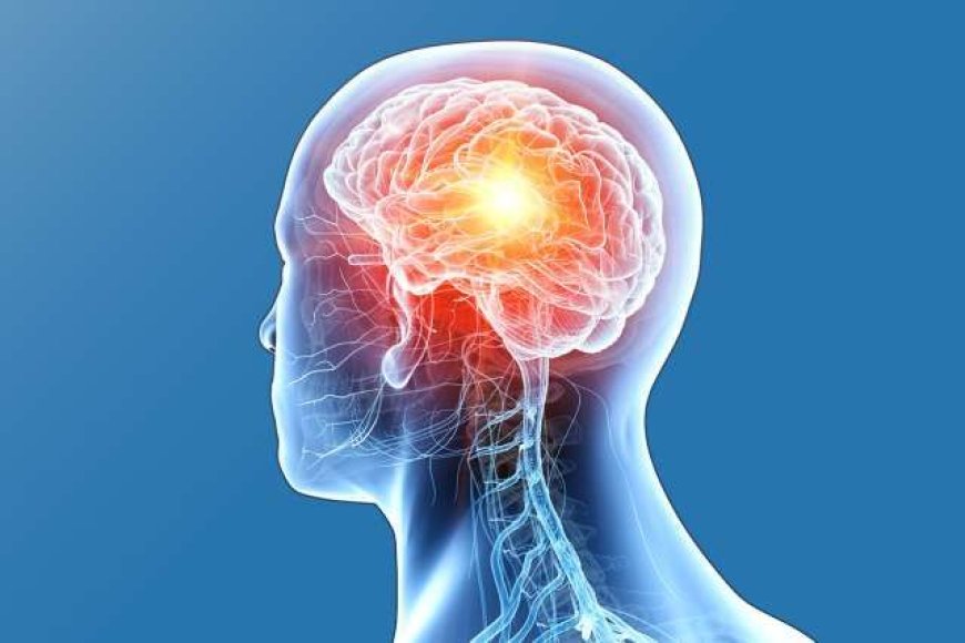 Radiation Therapy for Brain Tumor Treatment in Bangalore: What You Need to Know