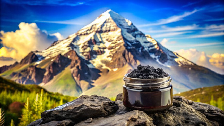 Why Himalayan Shilajit is the Ultimate Natural Health Supplement