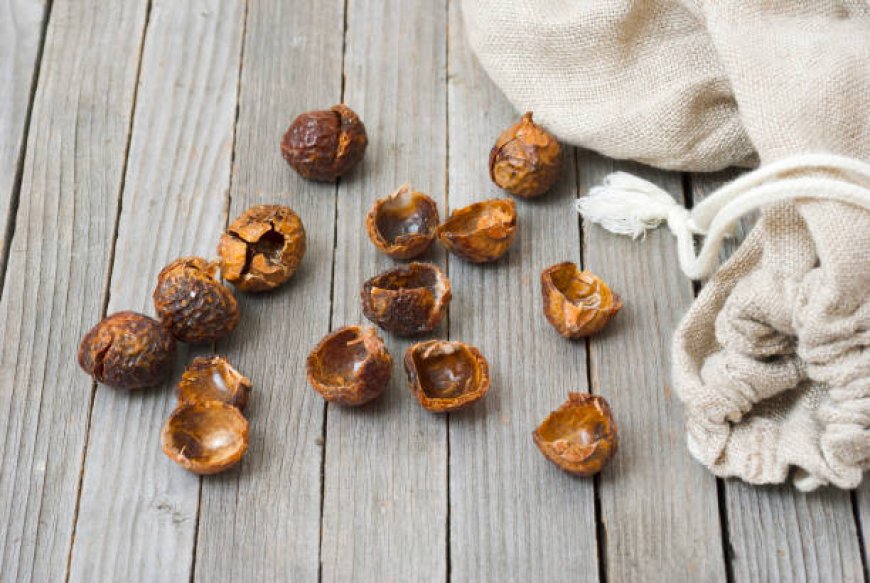 The Ultimate Soap Nuts A Natural and Eco-Friendly