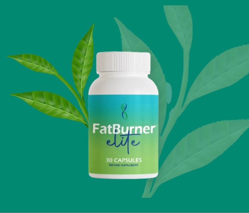 FatBurner Elite Shocking Facts Exposed!