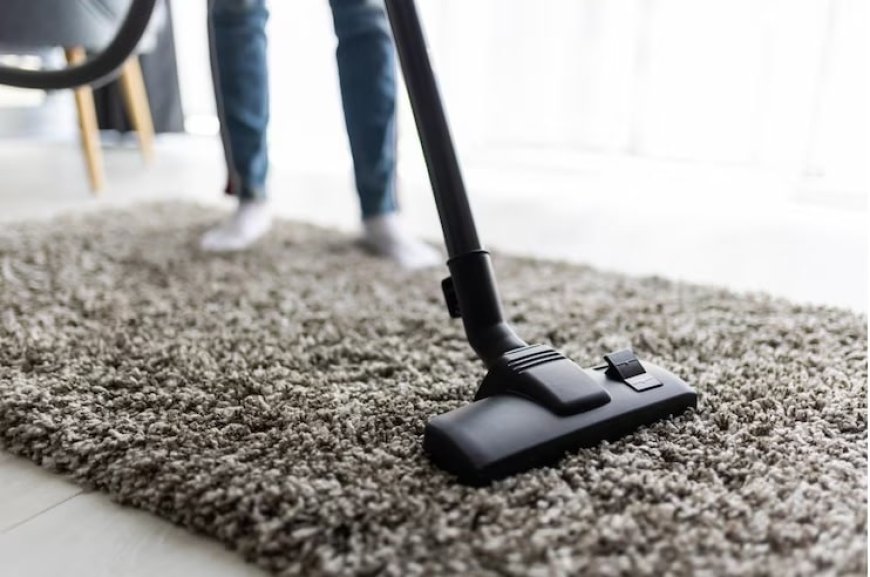 Why You Should Consider Professional Carpet Cleaning for Your Home