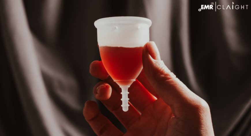 Menstrual Cup Sterilizers Manufacturing Plant Project Report 2024 Edition: Overview and Insights