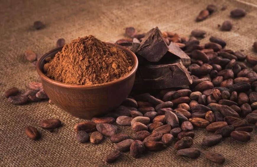 Premium Alkalized Dark Cocoa Powder from Indonesia