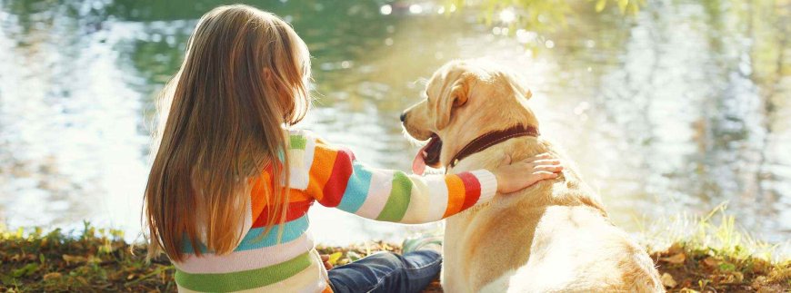 Your Dog Deserves the Best Care at Reston Dog Daycare