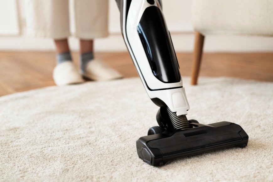 Professional Carpet Cleaning: The Key to Healthier Living Spaces