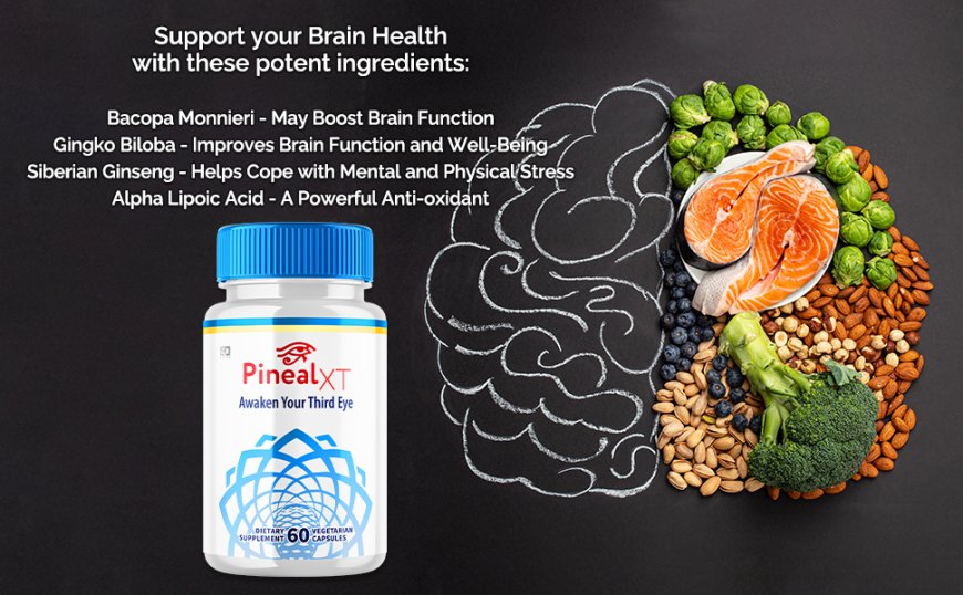 Pineal XT™ | Official Ingredients Reviews!