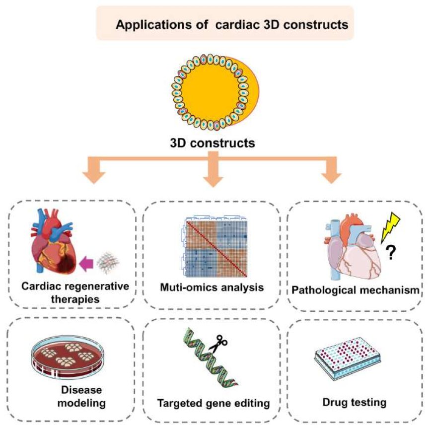 Cardiovascular Disease Preclinical Research: Recent Update