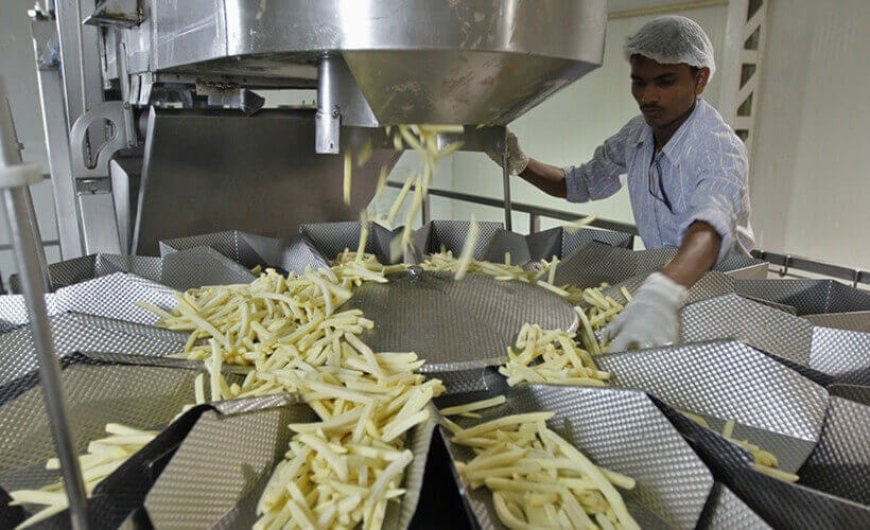 Potato Processing Plant Project Report 2024: Business Plan and Setup Details