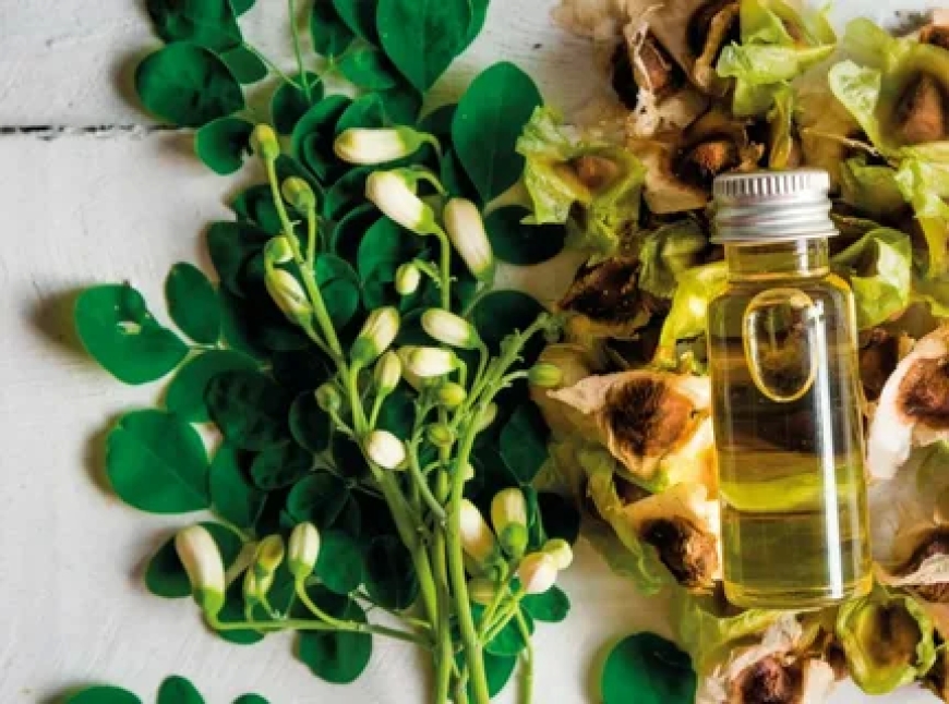 Moringa Oil: A Nutrient-Dense Wonder for Health and Beauty