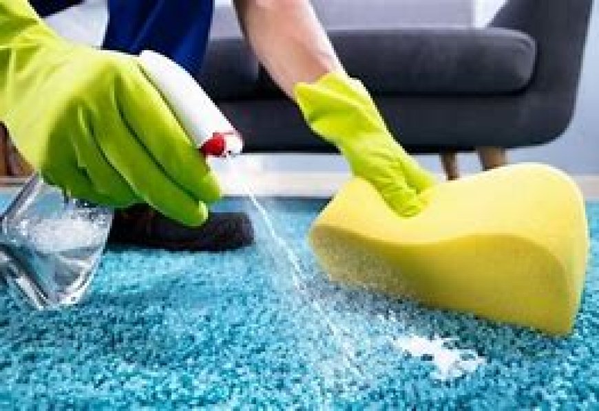 The Essential Role of Carpet Cleaning in Enhancing Home Wellness