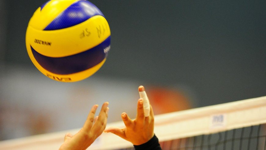 How to Bet on Volleyball Matches Using Betvisa?