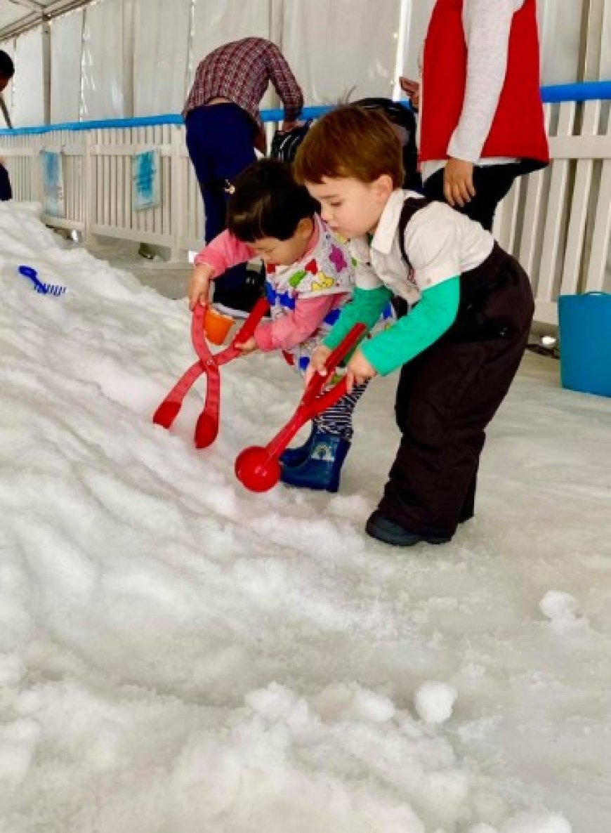 Exploring the Enchantment of Snow in Queensland with Snow4kids