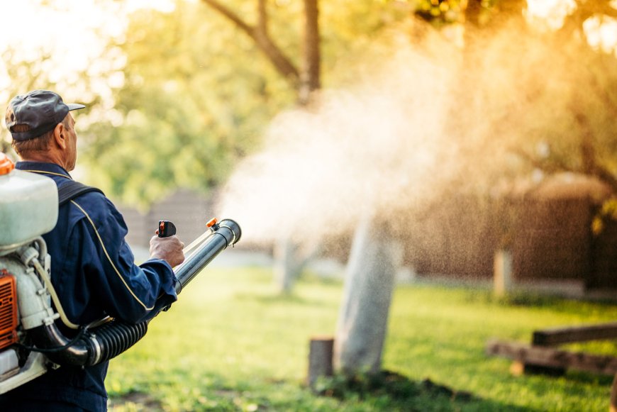 Trusted Mosquito Control in Raynham, MA | Reliable Mosquito Prevention