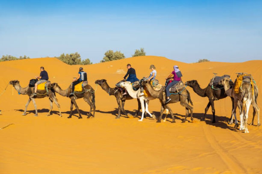 Top 5 Desert Safari Camps in Jaisalmer You Need to Visit