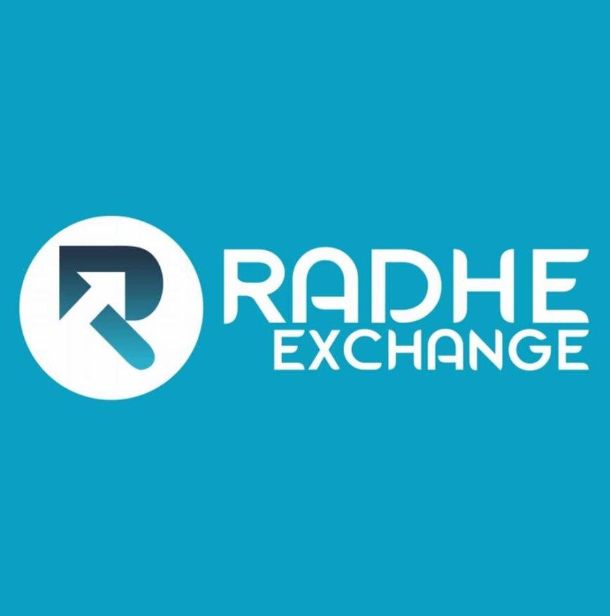 How effortless is it to use Radhe Exchange