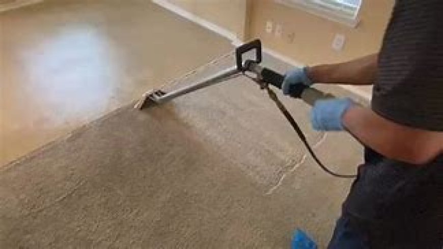 Boost Your Home’s Health and Comfort with Professional Carpet Cleaning