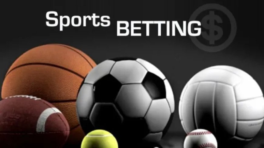 The Best Betting Site: What to Look For and Top Recommendations