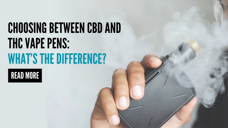 Choosing Between CBD and THC Vape Pens: What’s the Difference?