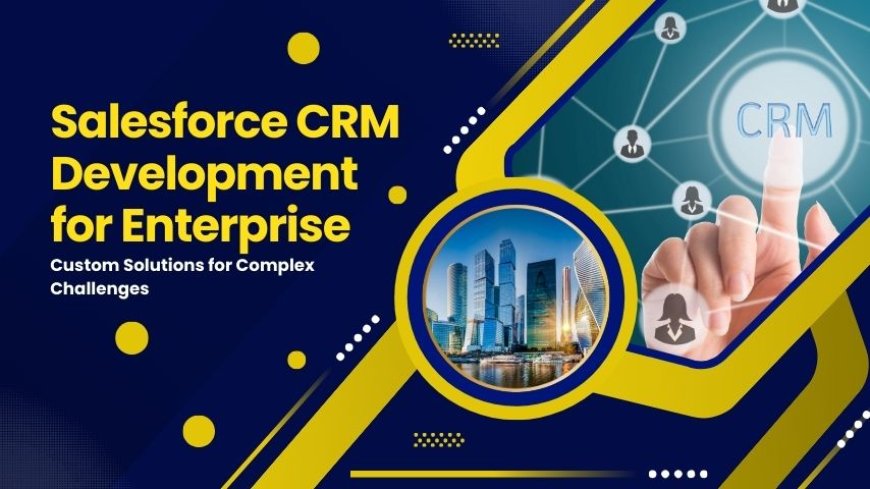 Salesforce CRM Development for Enterprise: Custom Solutions for Complex Challenges