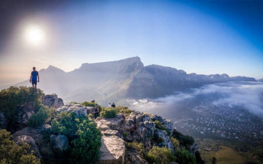 6 Activities in Cape Town, South Africa: An Eco-Friendly Vacation Guide