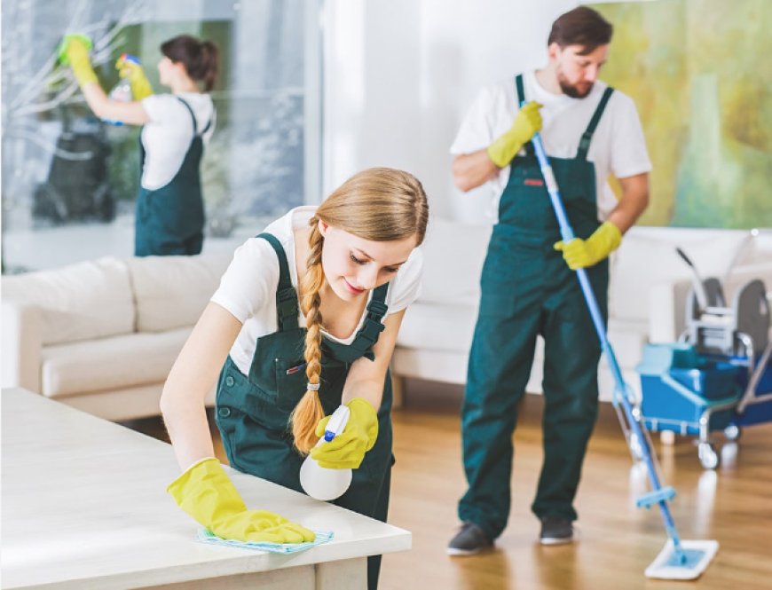 Cleaning Services Maastricht: What You Need to Know