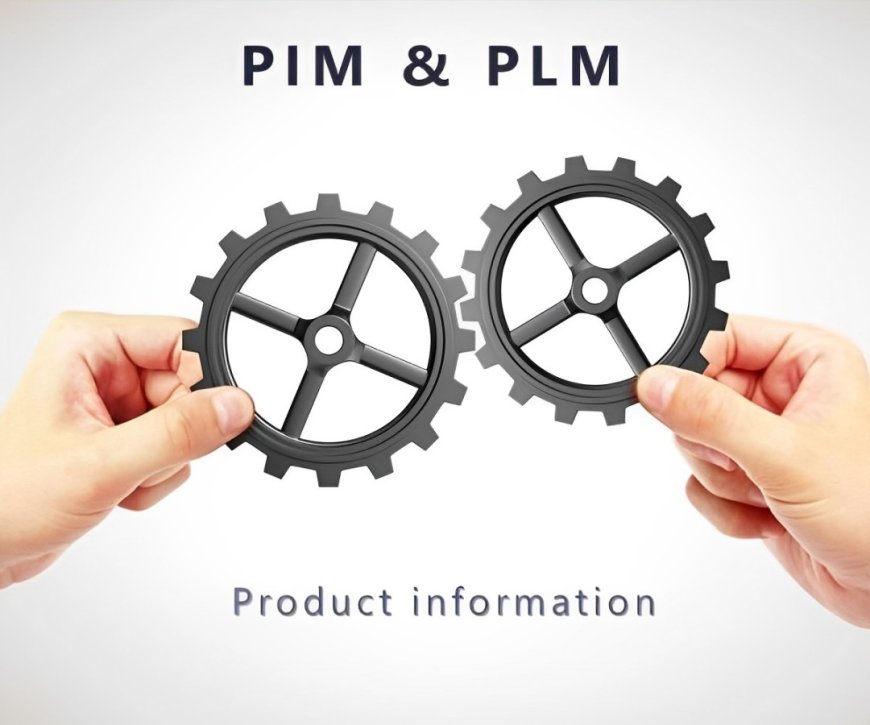 The Role of PIM and PLM in Accelerating Time to Market