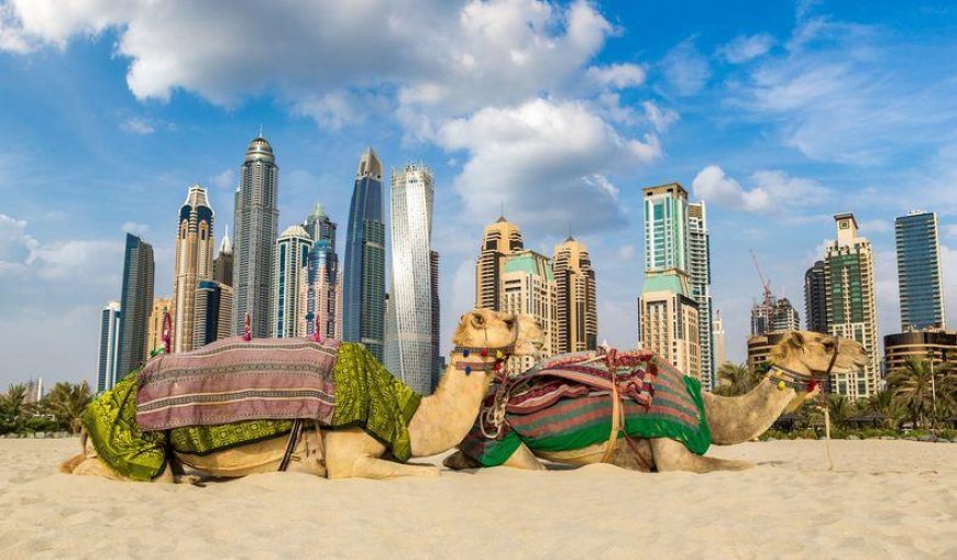 Your First Trip to Dubai: What You Need to Know