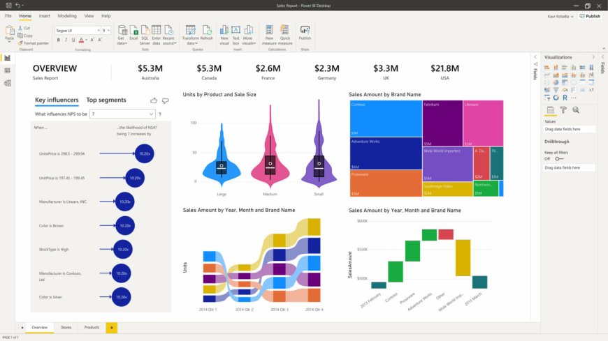 Roar Data: Premier BI Services in Australia for Data-Driven Success