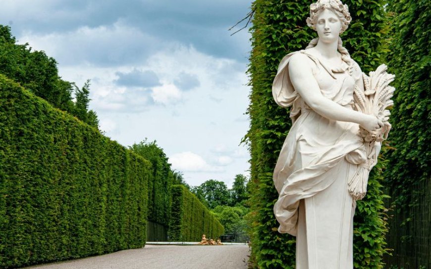 6 Stunning French Gardens You Should Visit