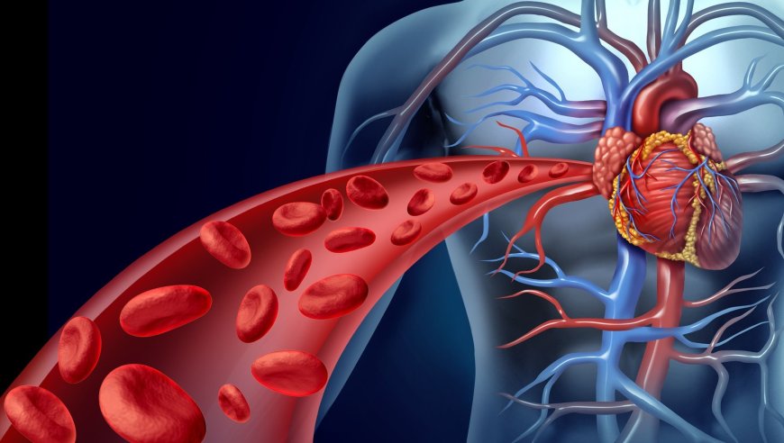 Natural Approaches to Dissolve Plaque in Arteries and Blood-Thinning Supplements