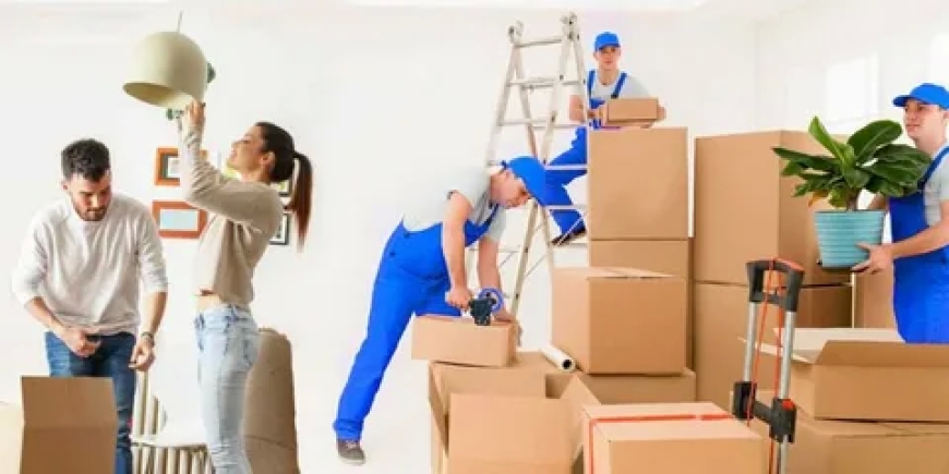 Why Mamta Packers and Movers is Your Best Choice for Relocation in Delhi