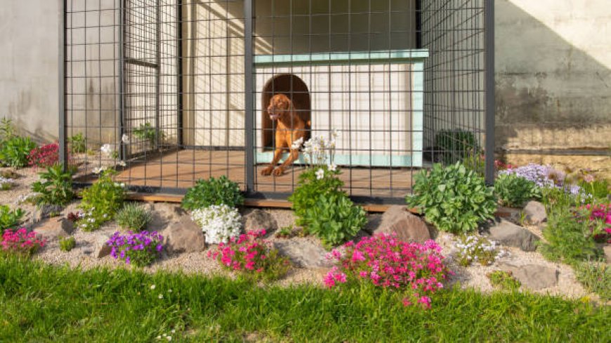 Discover the Charm of Snoopy Dog House for Dogs for Your Furry Friend